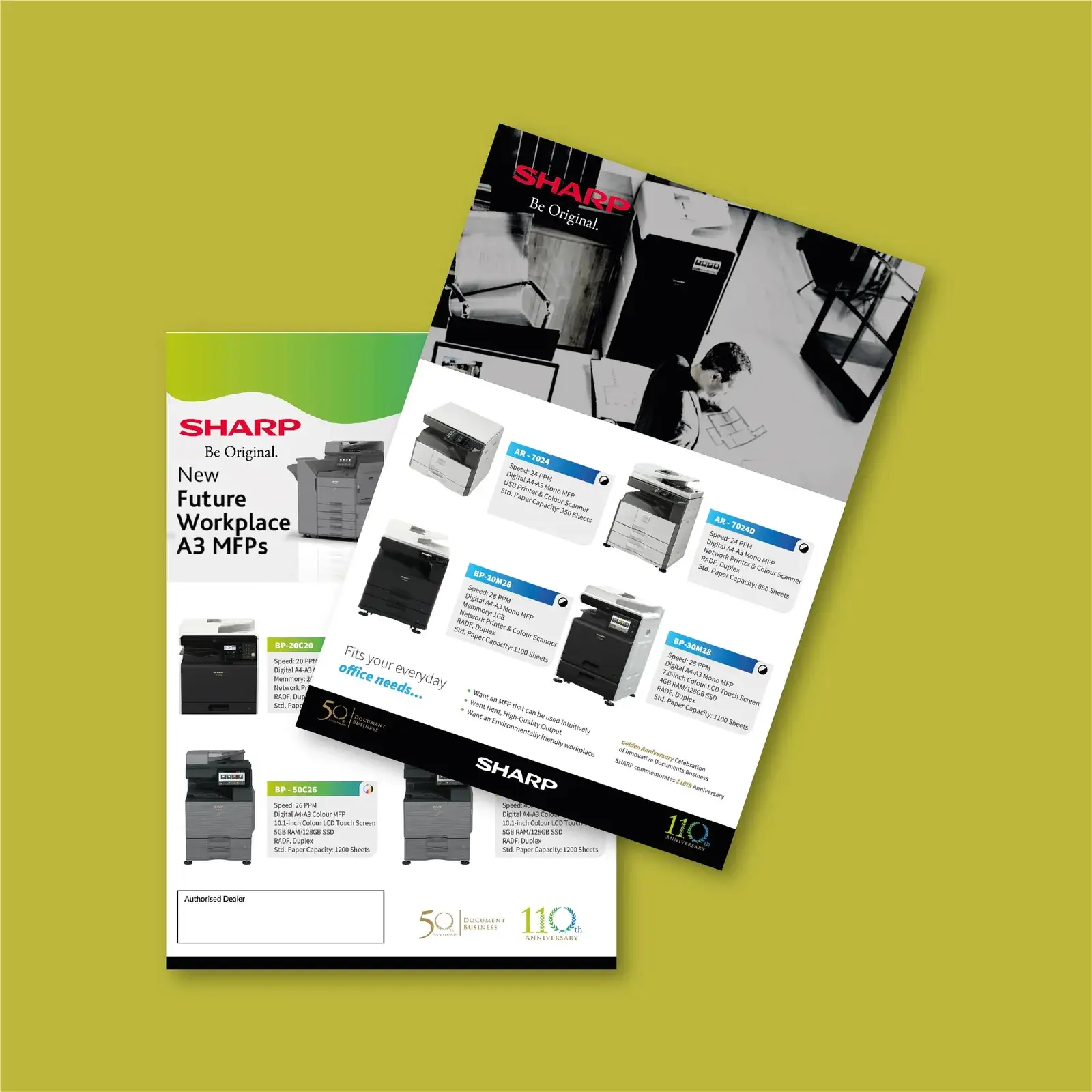Brochures And Flyers sample 1
